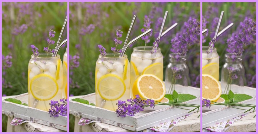 Limonada de limão e óleo essencial de lavanda 