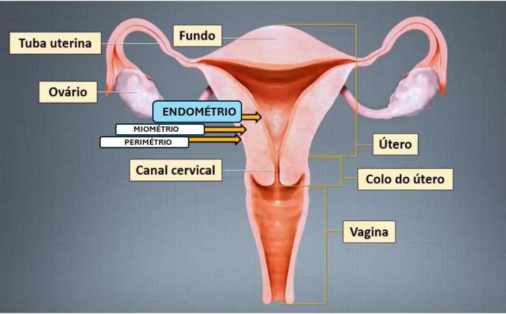 aromaterapia para cólica menstrual 