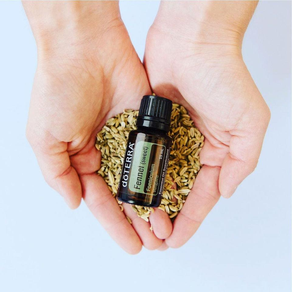 Fennel doterra